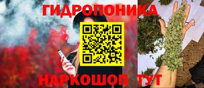 крисы Нарткала